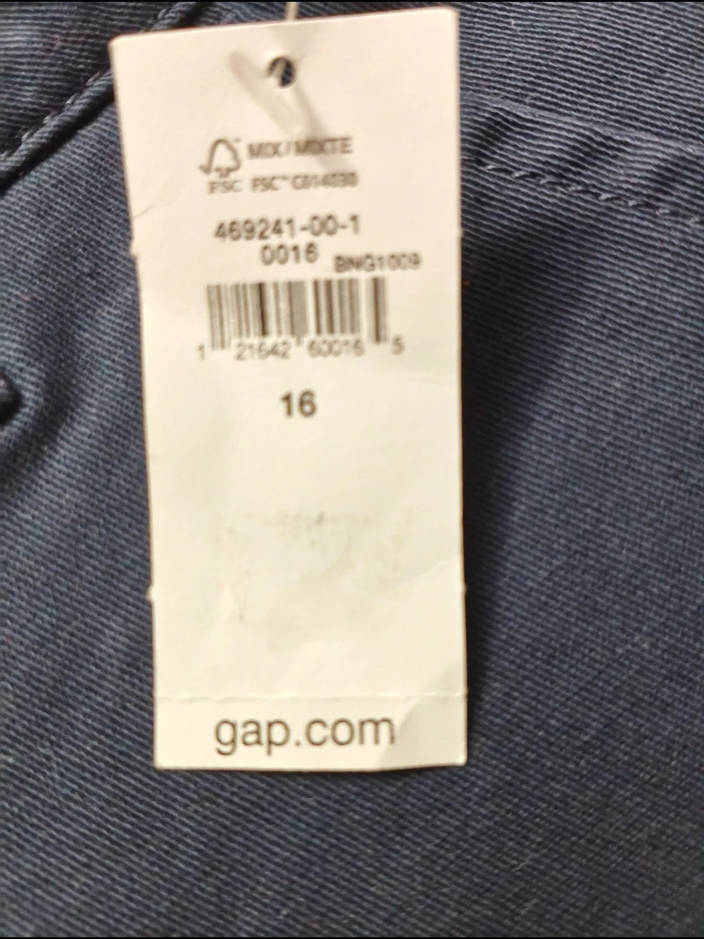 #243 GAP Navy Chinos